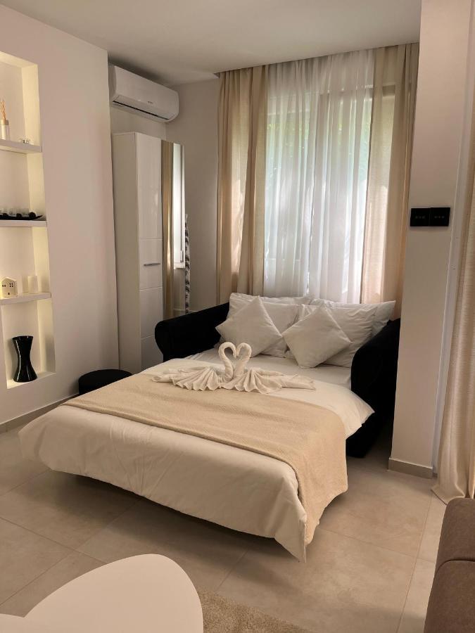 Apartment Jj Vladimira Rolovic 09 17