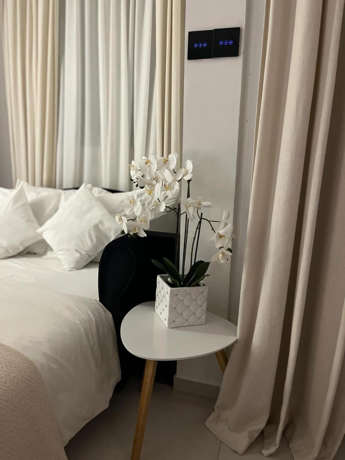 Apartment Jj Vladimira Rolovic 09 17